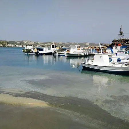 Xenia's 4