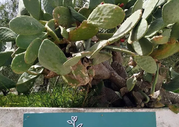 Xenia's 4 アパート